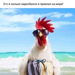 ���� ����������, ���������, 43 ���� - ��������� 20 ���� 2022