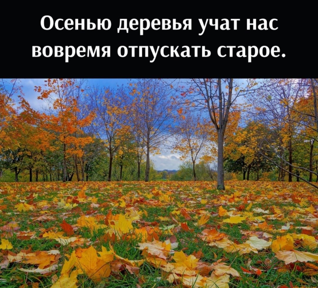   - 25  2022  12:53