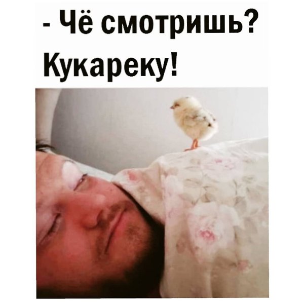   - 13  2023  09:08