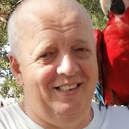 ������, ������� ��������, 57 ���