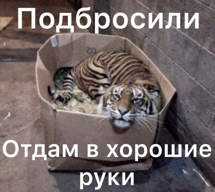   - 29  2022  07:30