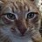 ���� ������, ������, 47 ��� - ��������� 6 ��� 2022