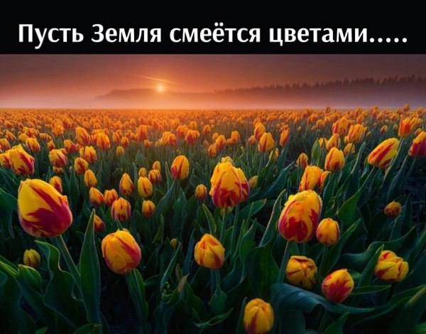   )).  -    . -    . - ...
