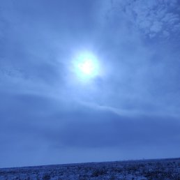 �������, ������, 31 ���