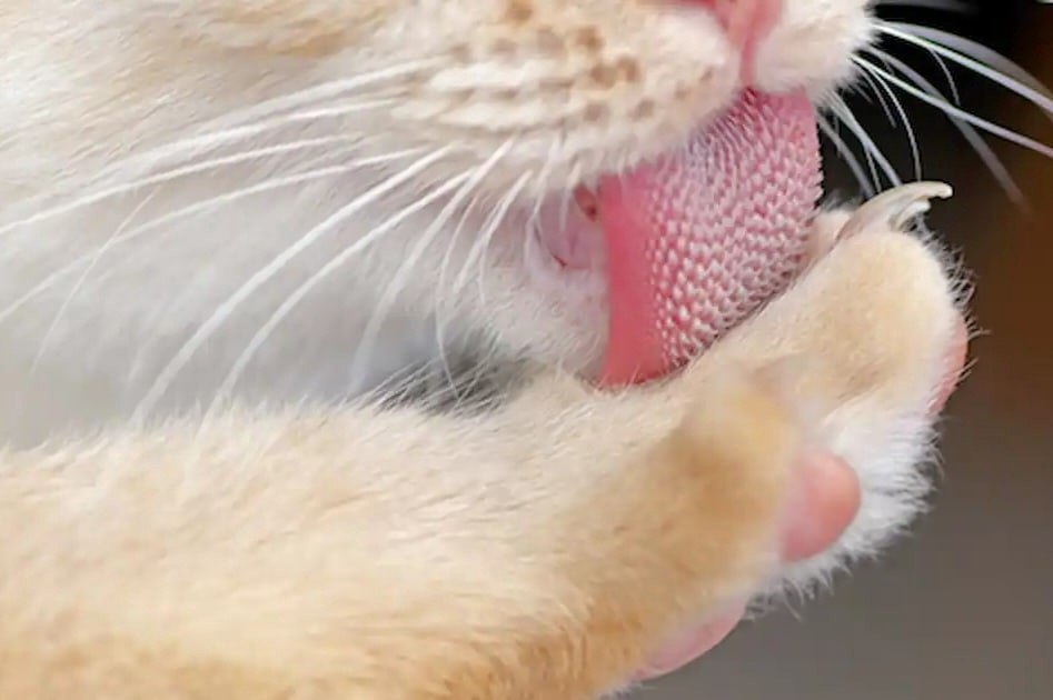 y   -    ,   , ,  ,   , ,   ...