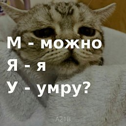 , , 21 