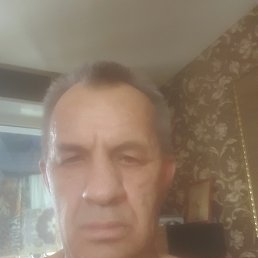 , 61 , -