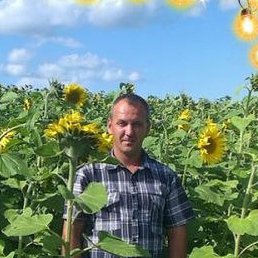 ������, ��������, 46 ���