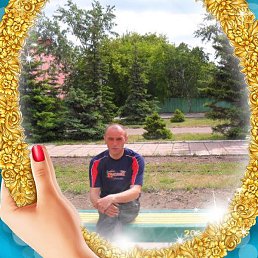 �������, ���������, 44 ����