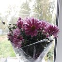 ���� �������, �����, 59 ��� - ��������� 1 �������� 2022 � ������ ���� ����������