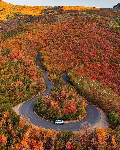 �������� ������.WORLD