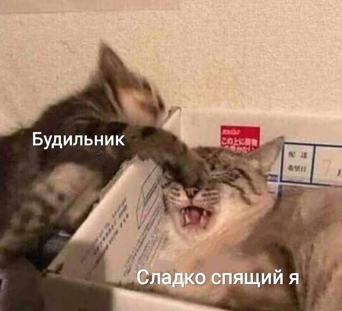    - 11  2022  21:30
