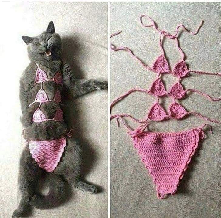 :)    ,   )))