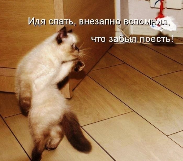    - 18  2022  23:21