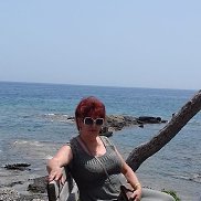 ����, 66 ���, �������