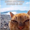 ���� ���, ������ - ��������� 30 ������ 2022 � ������ ���� ����������