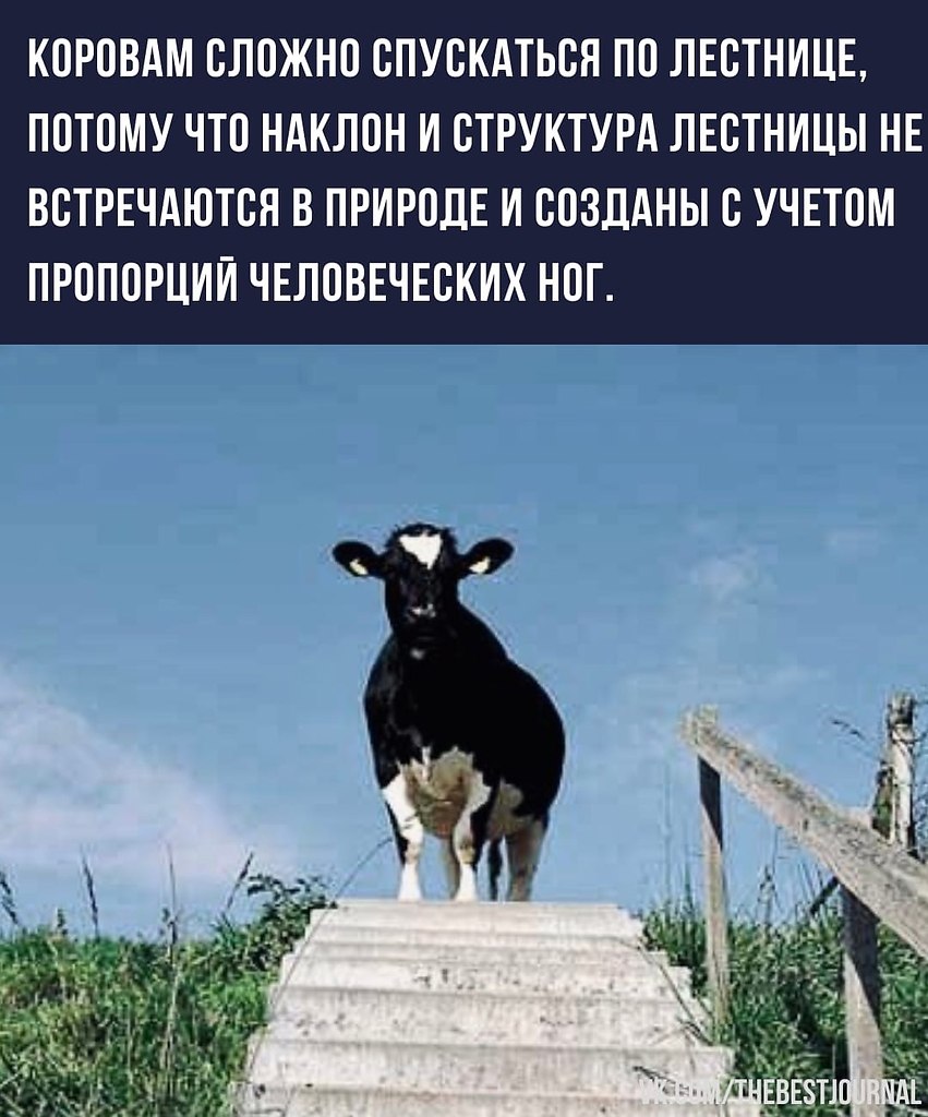 BEST | , ,  - 11  2022  00:23 - 2