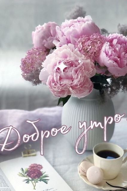 ,  ""   :  ,     ?  ... - 2