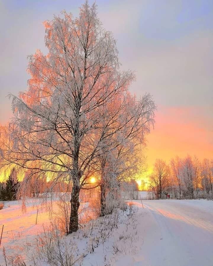   - 27  2022  14:53