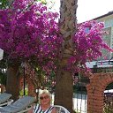 ���� ���� �������, ������ - ��������� 25 ���� 2022 � ������ ���� ����������