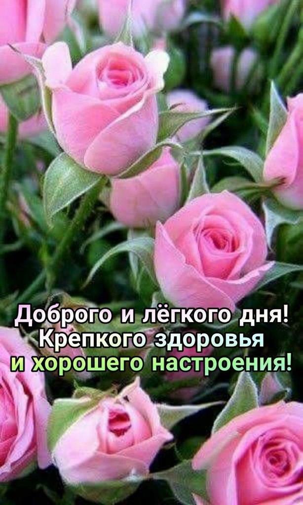   ,    . - 25  2022  09:03