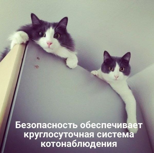    - 19  2022  23:32