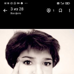 ���� �������, ������, 49 ��� - ��������� 5 ������� 2022