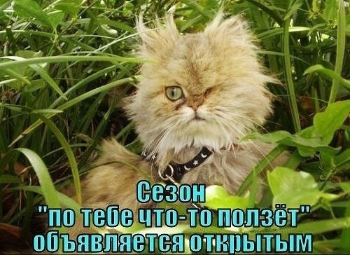    - 8  2022  21:21