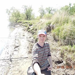 ������, �����������, 55 ���