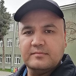 ������, �������, 41 ���