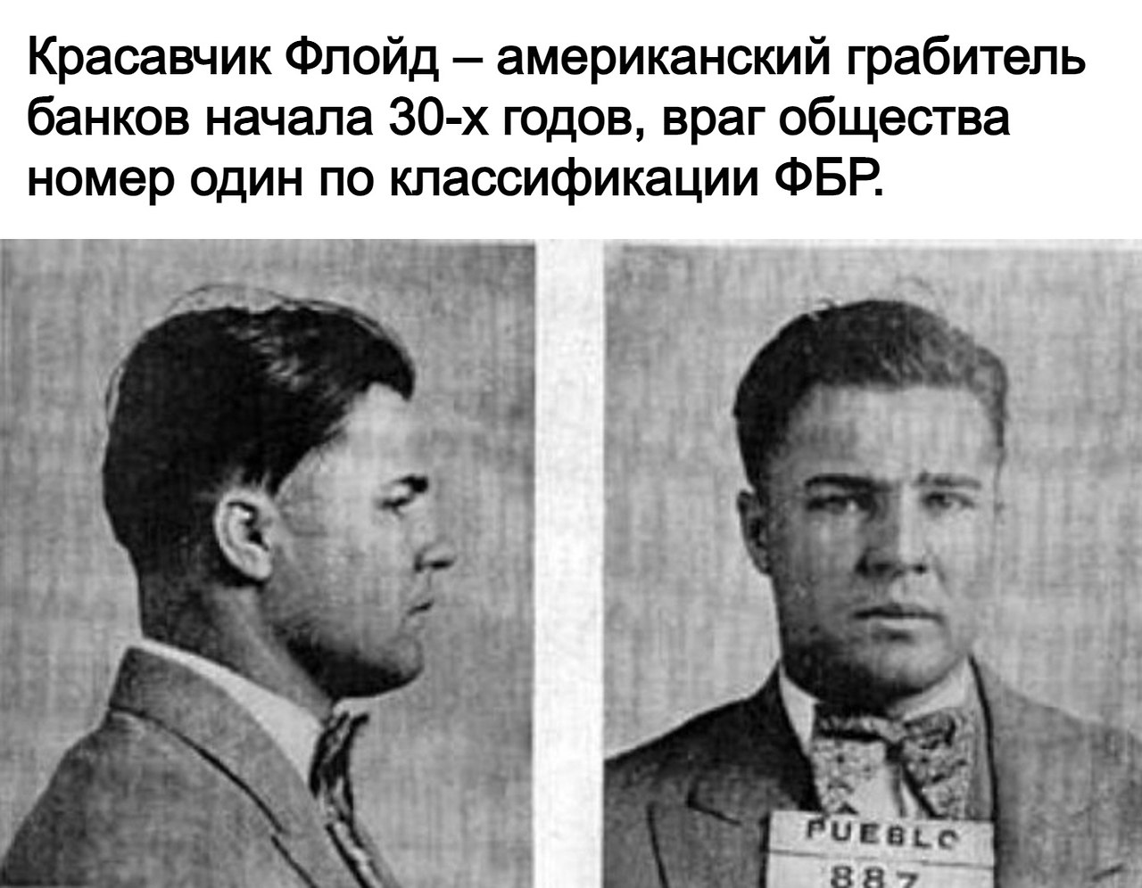          3  50 .  1925    ...