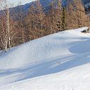 ���� ����, ������, 62 ���� - ��������� 31 ������ 2023 � ������ ��������� � �����