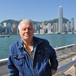 ���� ������, ������, 81 ��� - ��������� 1 ������ 2023