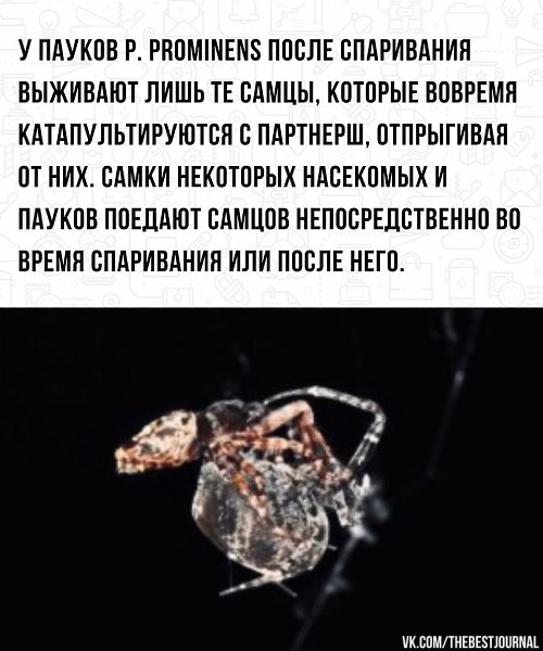 BEST | , ,  - 30  2022  02:08 - 2