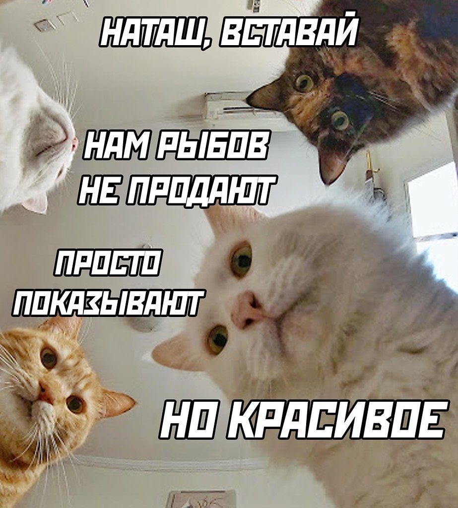 ☆������ �����☆ - 30 ������ 2023 � 06:19