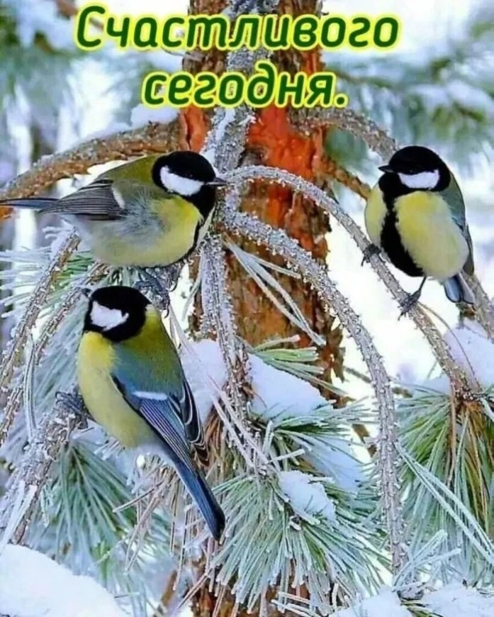   ,    . - 4  2022  13:13 - 6