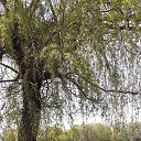 ���� �������, �������, 72 ���� - ��������� 26 ������ 2022 � ������ ���� ����������