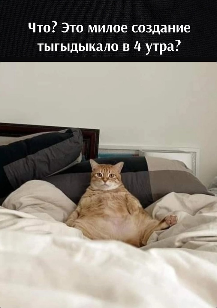   )