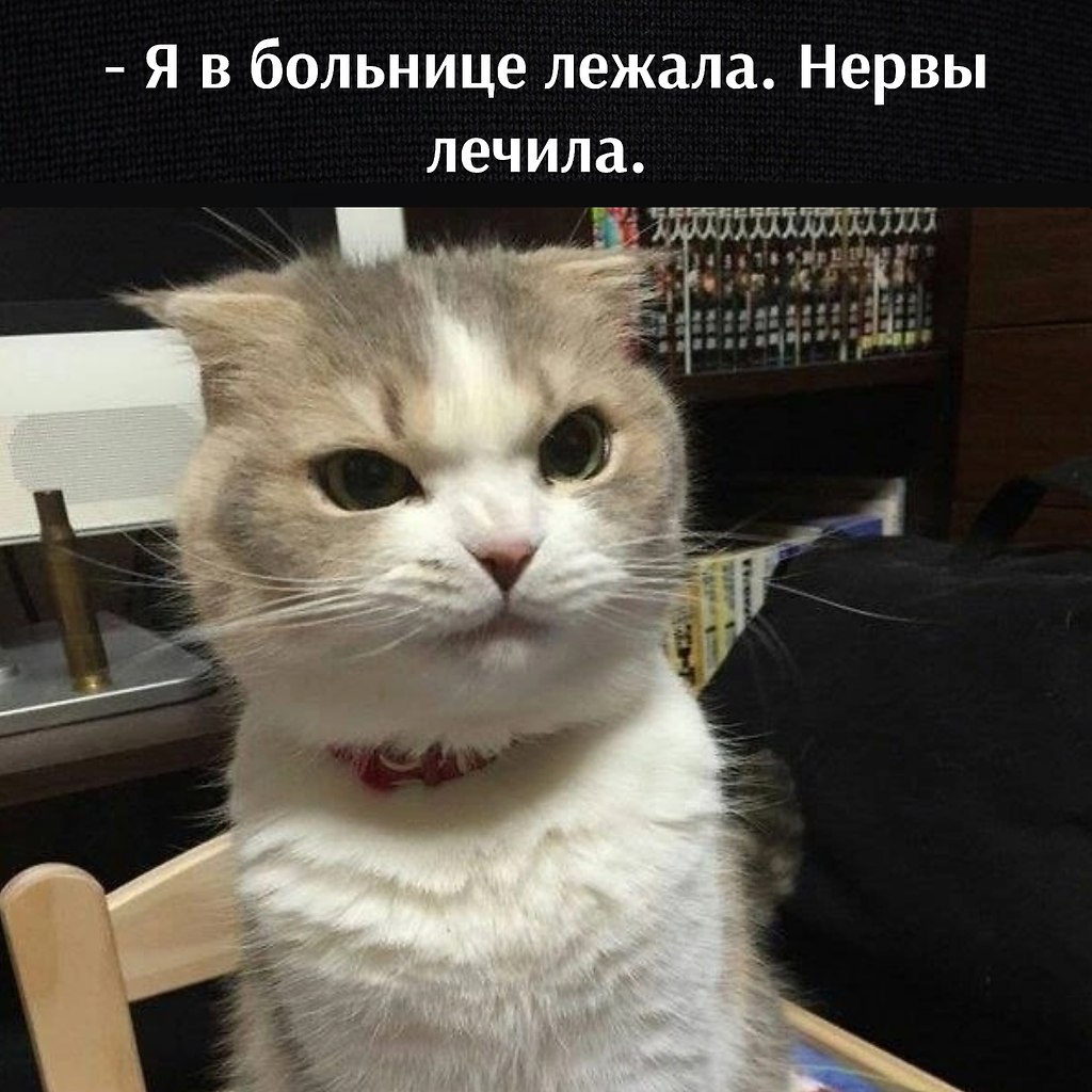       - 22  2022  15:42 - 2