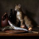 ���� �������, ���������, 44 ���� - ��������� 9 ���� 2022 � ������ ������ ��������