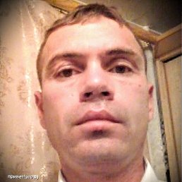 �������, ���������, 44 ����