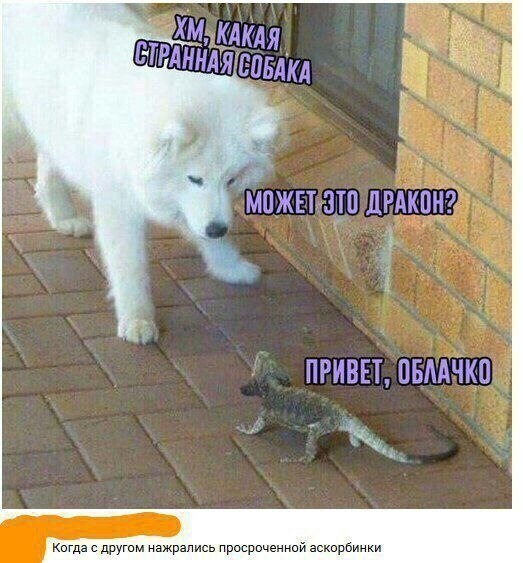   - 5  2022  12:27