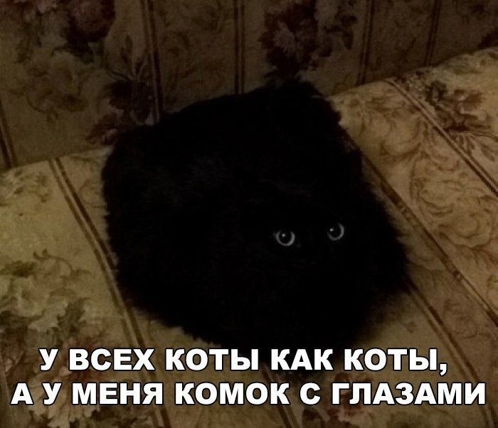    - 18  2022  02:27