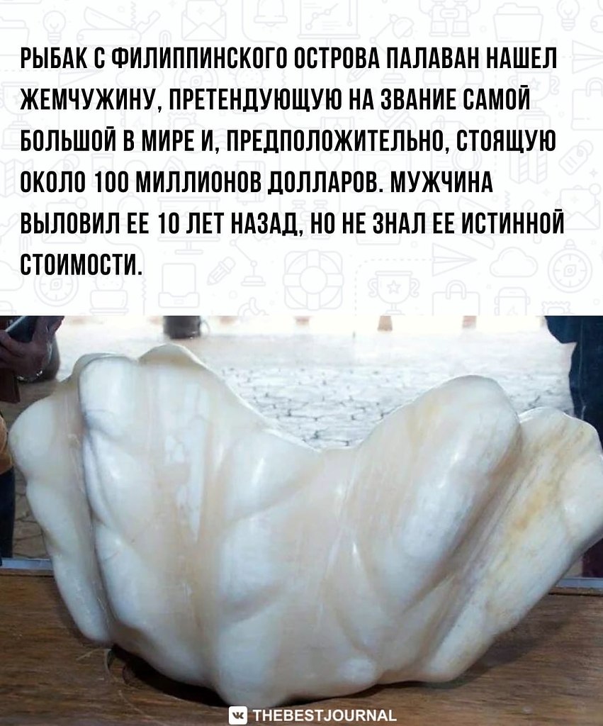 BEST | , ,  - 15  2022  08:19 - 2