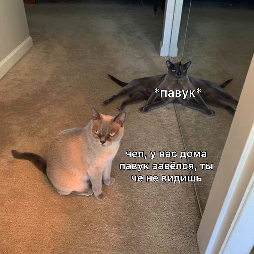    - 3  2023  03:18