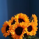  ----, , 57  -  18  2022    