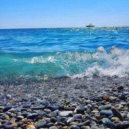 ���� �����, ���������, 52 ���� - ��������� 12 ������� 2023