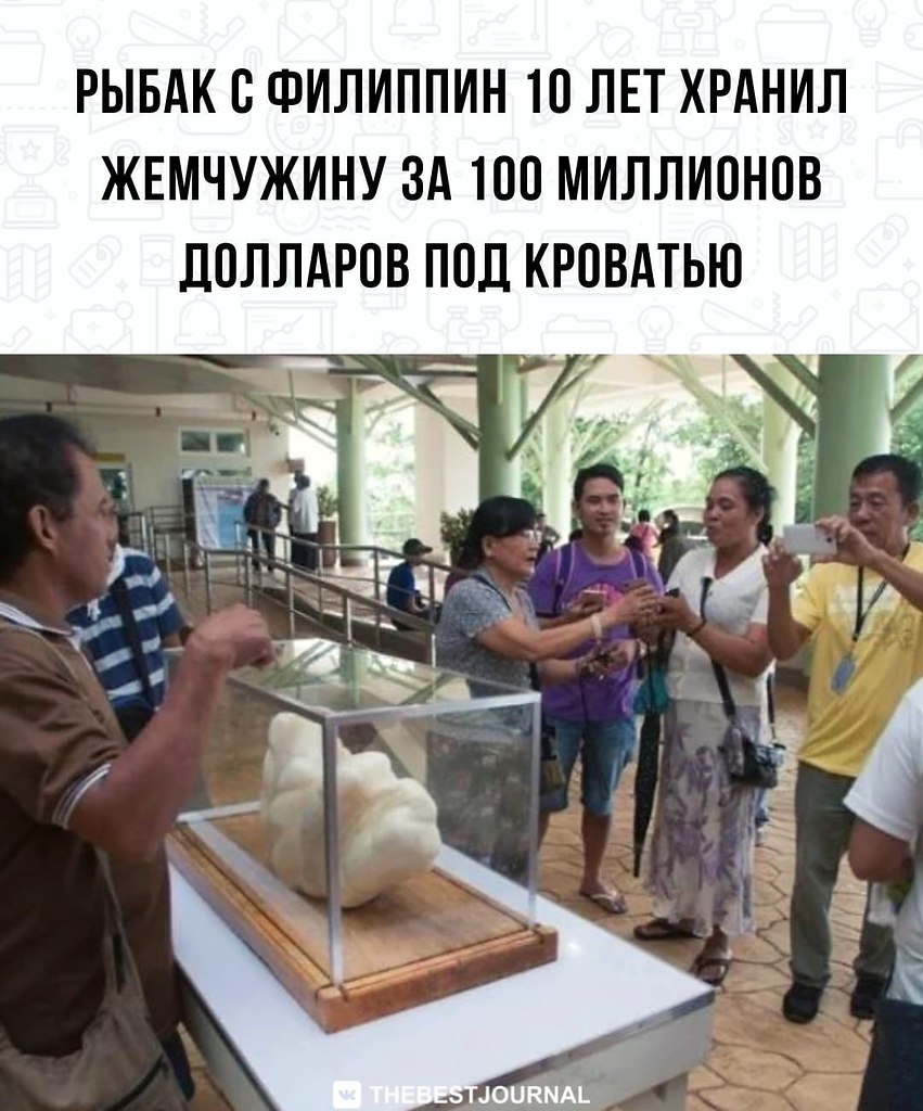 BEST | , ,  - 15  2022  08:19