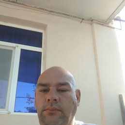 , 41, 