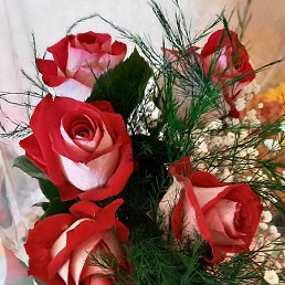 �������, ������������